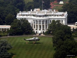 Американцы теряют форму? Американцы теряют форму?